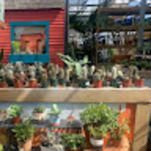 Meet your Posher, Lila